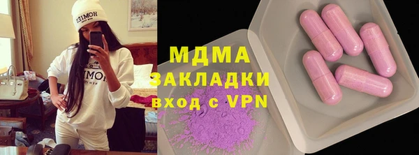 индика Вяземский